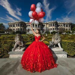 Sleeveless Red Quinceanera Dresses Sweetheart 15 Dress With 3D Flowers