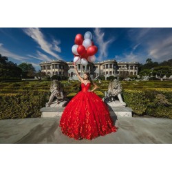 Sleeveless Red Quinceanera Dresses Sweetheart 15 Dress With 3D Flowers