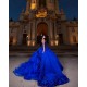 Sleeveless Royal Blue Quinceanera Dress Sweet 15 Gowns Princess Dresses