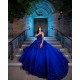 Sleeveless Royal Blue Quinceanera Dress Sweet 15 Gowns Princess Dresses