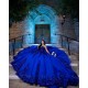 Sleeveless Royal Blue Quinceanera Dress Sweet 15 Gowns Princess Dresses