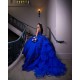 Sleeveless Royal Blue Quinceanera Dress Sweet 15 Gowns Princess Dresses