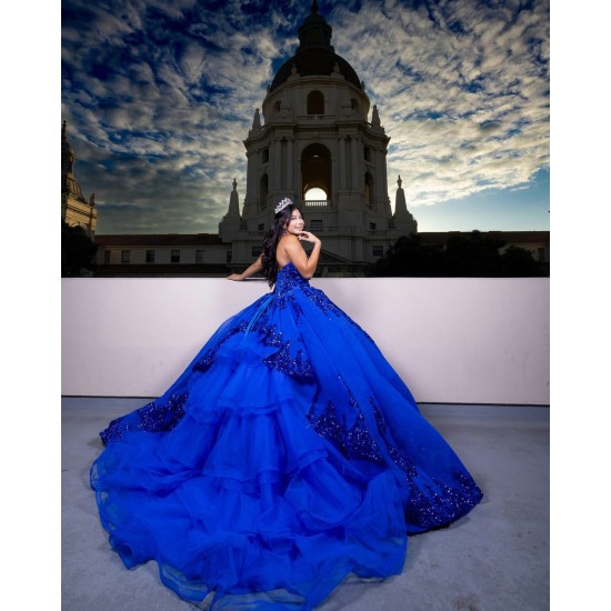 Sleeveless Royal Blue Quinceanera Dress Sweet 15 Gowns Princess Dresses