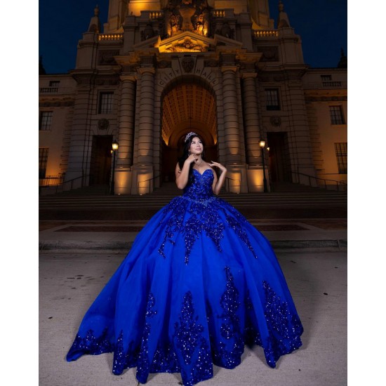 Sleeveless Royal Blue Quinceanera Dress Sweet 15 Gowns Princess Dresses