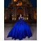 Sleeveless Royal Blue Quinceanera Dress Sweet 15 Gowns Princess Dresses