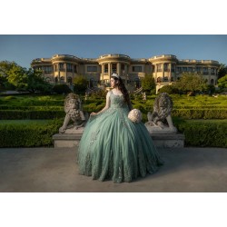 Sleeveless Sage Green Quinceanera Dresses Square Collar 15 Dress