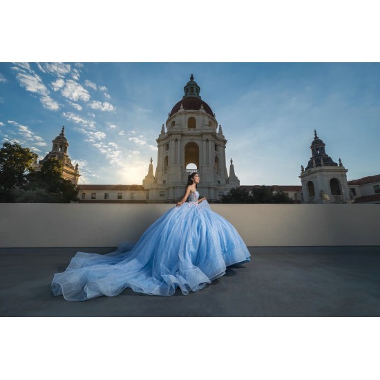 Sleeveless Sky Blue Quinceanera Dresses Sweetheart Neck 15 Dress