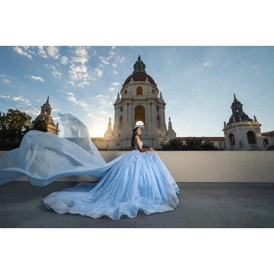 Sleeveless Sky Blue Quinceanera Dresses Sweetheart Neck 15 Dress