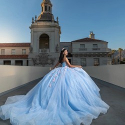 Sleeveless Sky Blue Quinceanera Dresses Sweetheart Neck 15 Dress