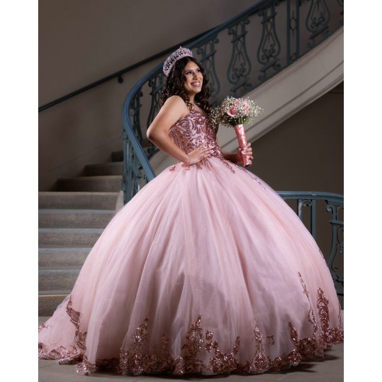 Sleeveless Sweet 15 Gowns Rose Gold Quinceanera Dress V Neck Dresses