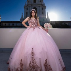 Sleeveless Sweet 15 Gowns Rose Gold Quinceanera Dress V Neck Dresses