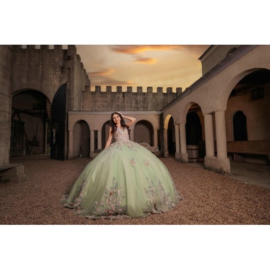 Sleeveless Sweet 15 Gowns Sage Green Quinceanera Dress With 3D Flowers