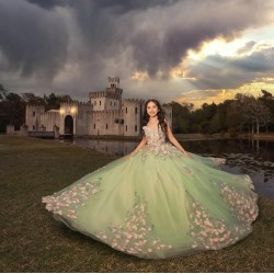 Sleeveless Sweet 15 Gowns Sage Green Quinceanera Dress With 3D Flowers