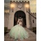 Sleeveless Sweet 15 Gowns Sage Green Quinceanera Dress With 3D Flowers