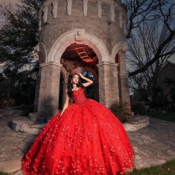 Sleeveless Sweetheart Neck Sweet 15 Gowns Red Quince Dress