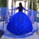 Spaghetti Strap Blue Quince Dresses Lace Appliques V Neck 15 Dress