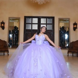 Spaghetti Strap Lilac Quinceanera Dress V Neck 15 Dresses