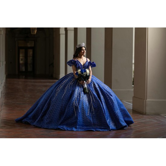 Spaghetti Strap Navy Blue Quinceanera Dresses V Neck 15 Dress