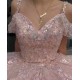 Spaghetti Strap Pink Quince Dresses V Neck 15 Dress Lace Appliques Ball Gowns