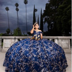 Sweet 15 Gowns Navy Blue Quinceanera Dress Off Shoulder Princess Dresses