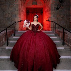 Sweetheart Burgundy Quinceanera Dress Sleeveless Princess Dresses