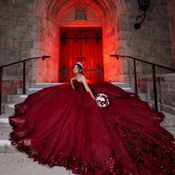 Sweetheart Burgundy Quinceanera Dress Sleeveless Princess Dresses