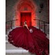 Sweetheart Burgundy Quinceanera Dress Sleeveless Princess Dresses