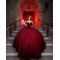 Sweetheart Burgundy Quinceanera Dress Sleeveless Princess Dresses