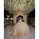 Sweetheart Neck Birthday Party Dresses Champagne Quinceanera Dress