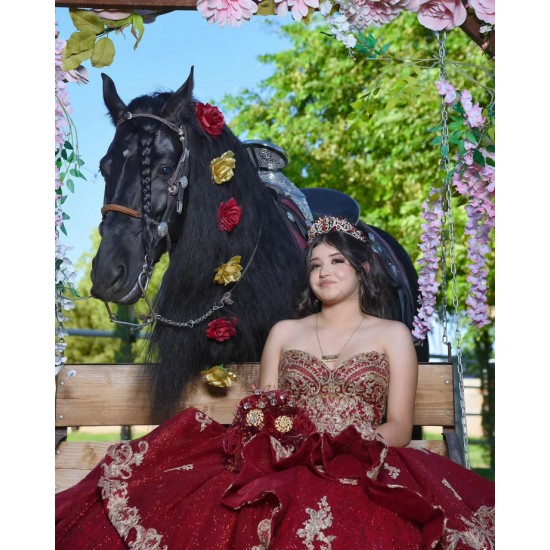 Sweetheart Neck Burgundy Quinceanera Dress Sleeveless 15 Dresses