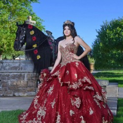 Sweetheart Neck Burgundy Quinceanera Dress Sleeveless 15 Dresses