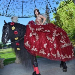 Sweetheart Neck Burgundy Quinceanera Dress Sleeveless 15 Dresses