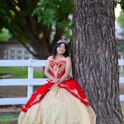 Sweetheart Neck Champagne On Red Quinceanera Dress Sleeveless 15 Dresses