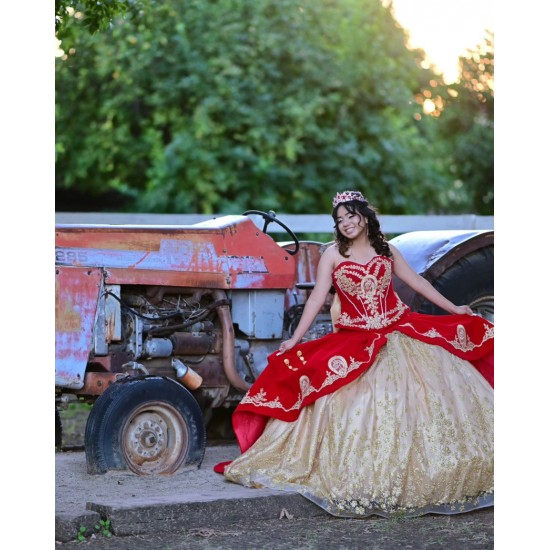 Sweetheart Neck Champagne On Red Quinceanera Dress Sleeveless 15 Dresses