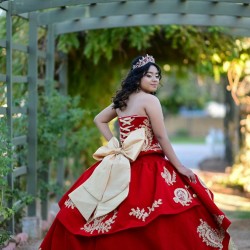 Sweetheart Neck Champagne On Red Quinceanera Dress Sleeveless 15 Dresses