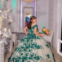 Sweetheart Neck Green On Nude Quinceanera Dress Off Shoulder 15 Dresses