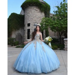 Sweetheart Neck Long Sleeve Sky Blue Quince Dresses 15 Dress