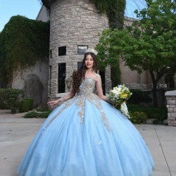 Sweetheart Neck Long Sleeve Sky Blue Quince Dresses 15 Dress