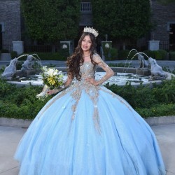 Sweetheart Neck Long Sleeve Sky Blue Quince Dresses 15 Dress