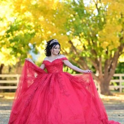 Sweetheart Neck Red Quinceanera Dress Metallic Sequin Off Shoulder 15 Dresses