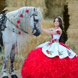 Sweetheart Neck Ruffled Red On White Quinceanera Dress Sleeveless 15 Dresses