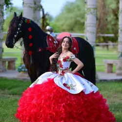 Sweetheart Neck Ruffled Red On White Quinceanera Dress Sleeveless 15 Dresses