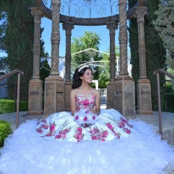 Sweetheart Neck Ruffled White Quinceanera Dress Sleeveless 15 Dresses