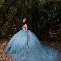 Sweetheart Neck Sage Green Quinceanera Dress 2024 Dresses With 3D Butterfly