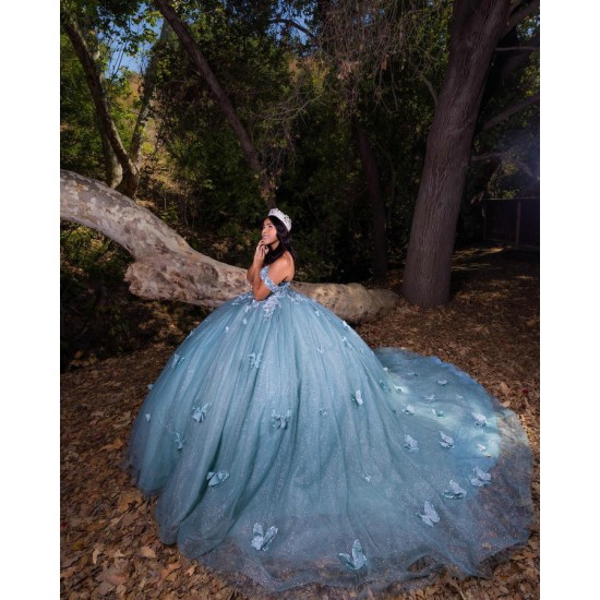 Sweetheart Neck Sage Green Quinceanera Dress 2024 Dresses With 3D Butterfly