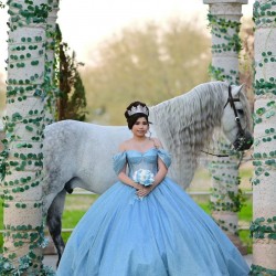 Sweetheart Neck Sky Blue Quinceanera Dress Off Shoulder Sequin 15 Dresses