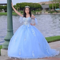 Sweetheart Neck Sky Blue Quinceanera Dress Sleeveless 15 Dresses