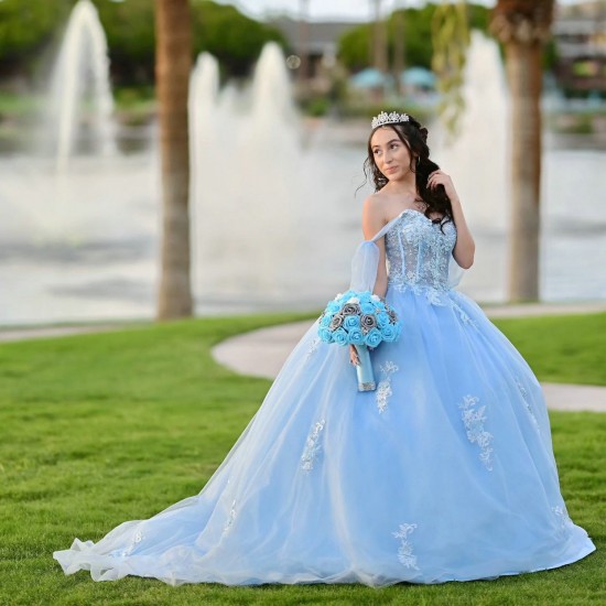 Sweetheart Neck Sky Blue Quinceanera Dress Sleeveless 15 Dresses