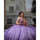 Sweetheart Neck Sweet 15 Gowns Lavende Quinceanera Dress Princess Dresses