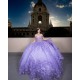 Sweetheart Neck Sweet 15 Gowns Lavende Quinceanera Dress Princess Dresses